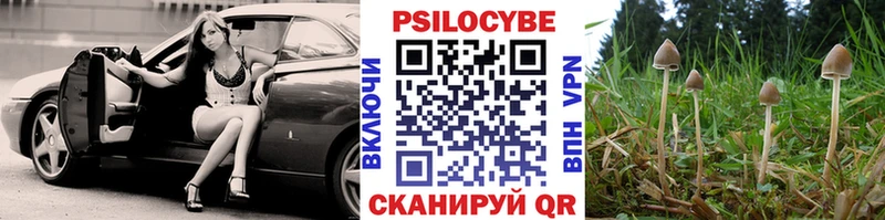 Галлюциногенные грибы прущие грибы Химки