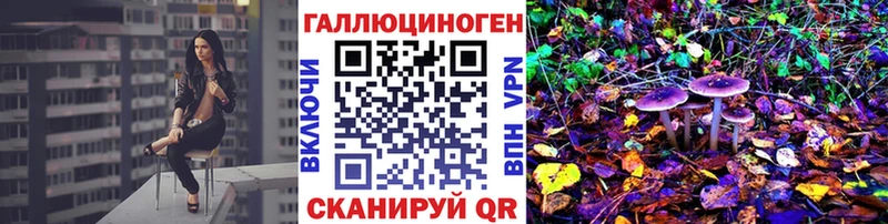 купить наркоту  Химки  Псилоцибиновые грибы Magic Shrooms 
